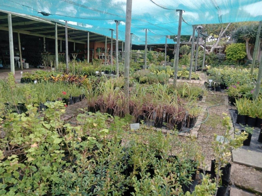 4 Bedroom Property for Sale in C Place Eastern Cape